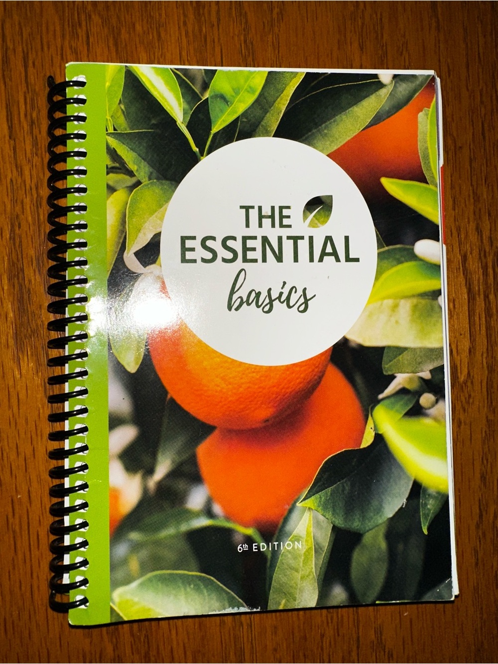 The Essential Basics Spiral Notebook - Orange & Green Cover
